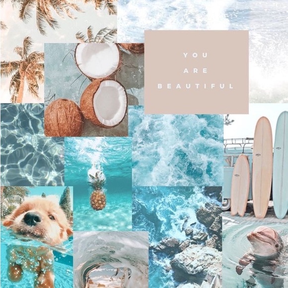 Meet your Posher, Bear - Picture 1 of 1